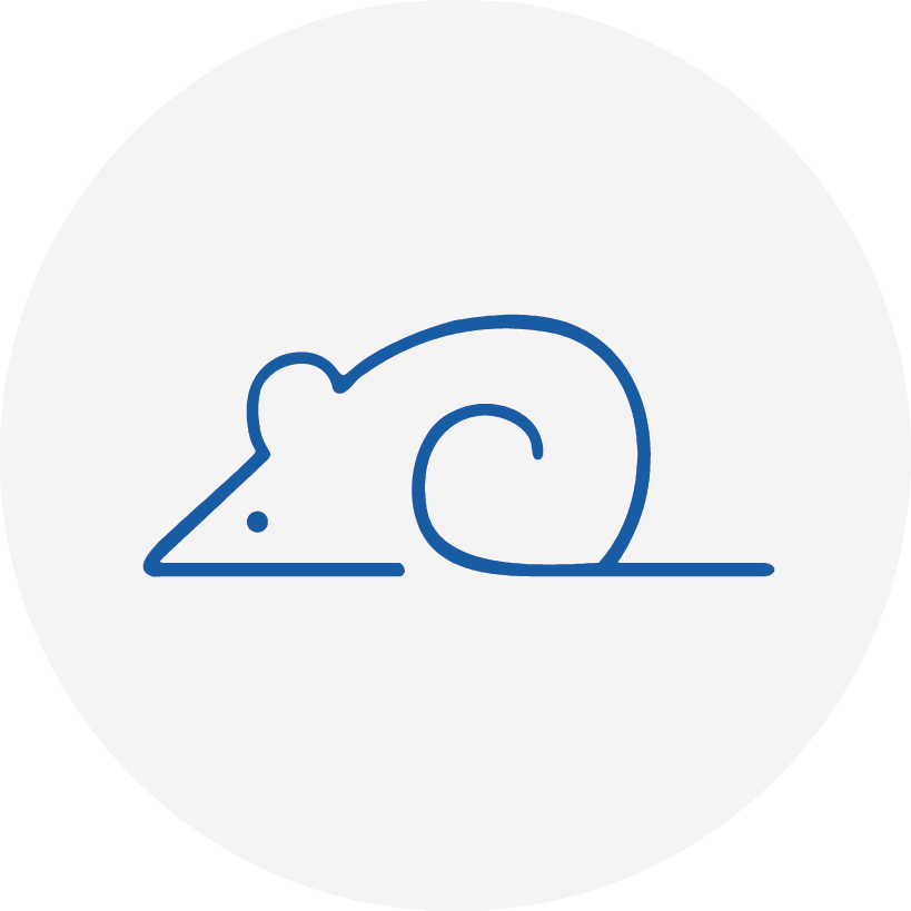 QuantiCyto® Mouse KC(IL-8) ELISA kit(High Sensitivity)