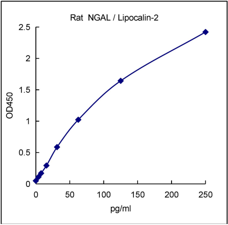QuantiCyto® Rat NGAL/Lipocalin-2 ELISA kit