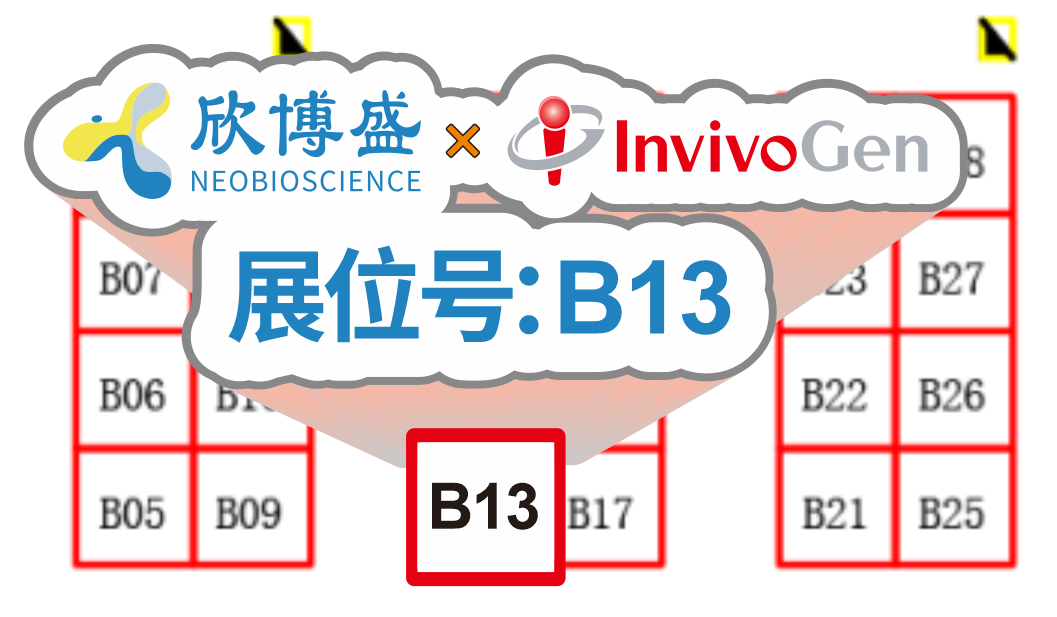 欣博盛展位：B13