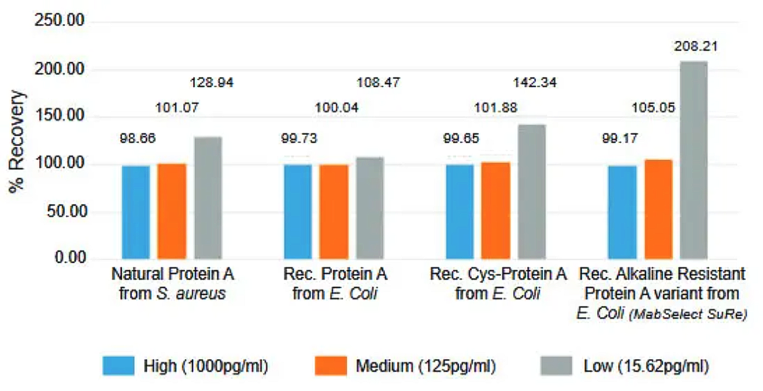 Protein A ELISA kit