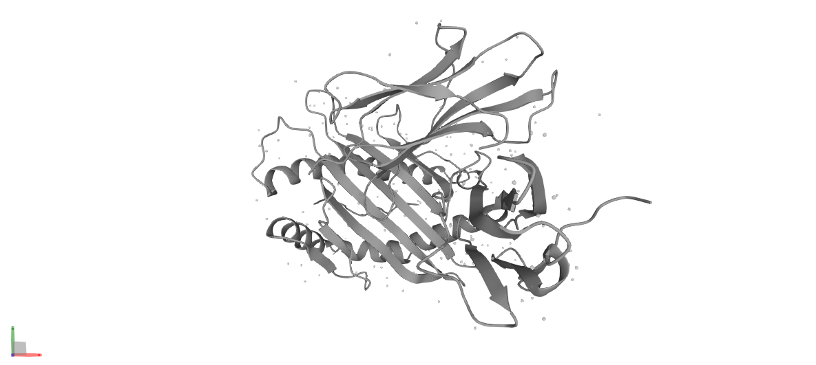 Human Beta 2 Microglobulin结构图