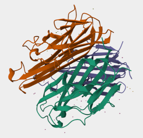 Mouse sRANK Ligand结构图