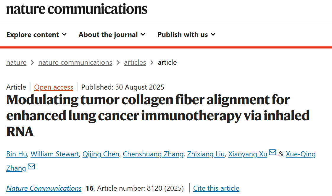 增强肺癌免疫治疗