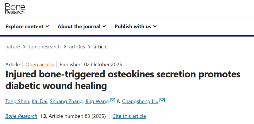 受损骨骼触发的骨因子分泌促进糖尿病伤口愈合