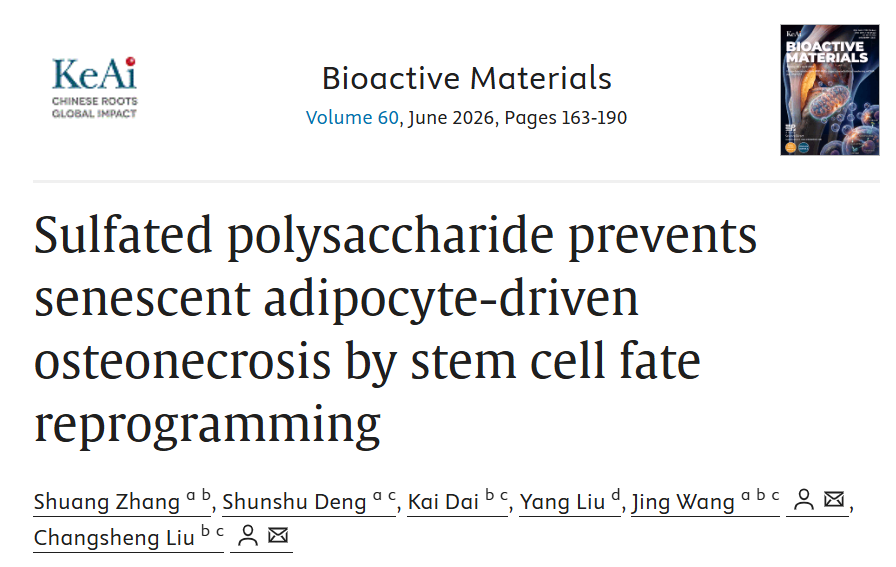 硫酸多糖通过干细胞命运重编程阻止衰老脂肪细胞驱动的骨坏死