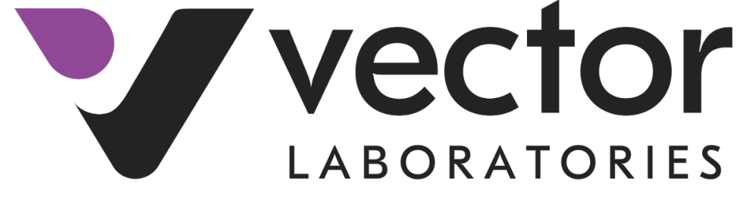 Vector-logo